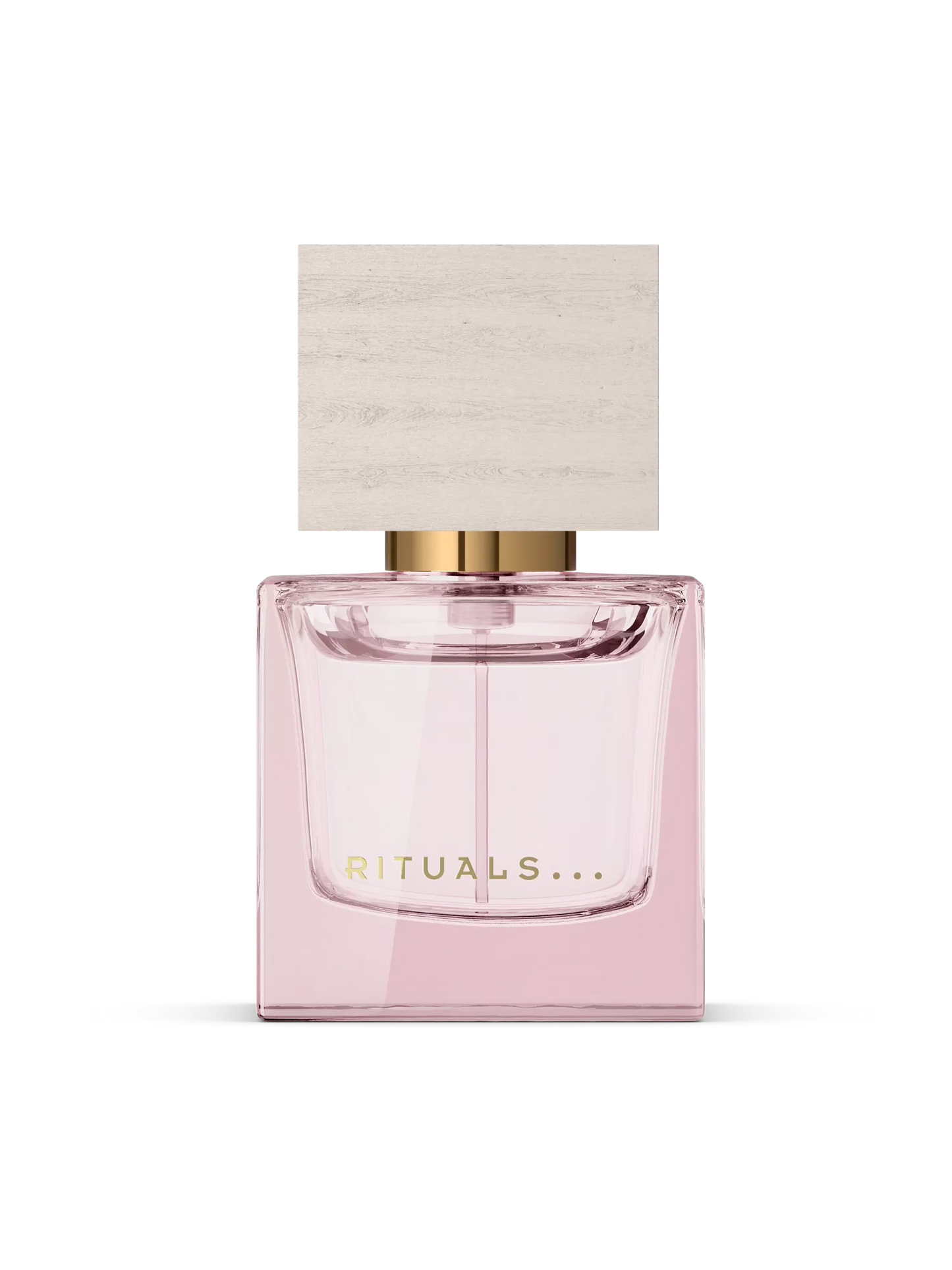 Travel - Fleurs de l’Himalaya