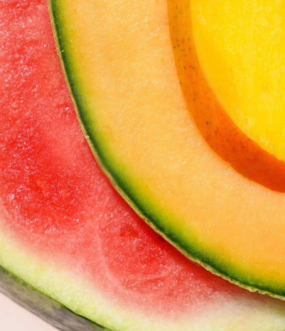 Watermelon Frosé & Mango Melonade Lipbalm